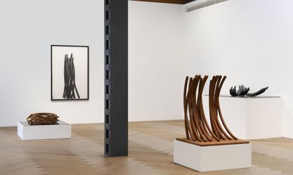 Artist:Bernar VENET, Exhibition: Bernar Venet: Archetypes